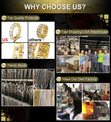 New Trendy 925 Sterling Silver Sunflower Stud Earrings for Women Men Full Moissanite